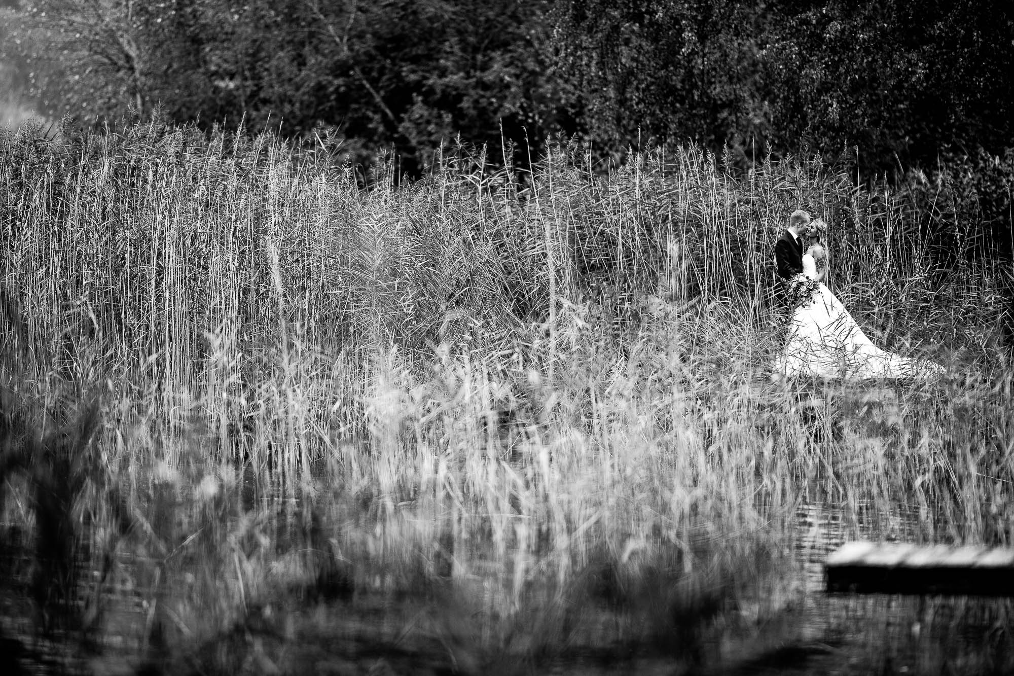 Export x3 1DX26043 Bearbeitet Hochzeit 2019 Tatjana und Hermann 2